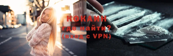 дмт Нягань