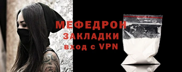 крисы Няндома