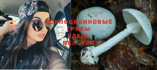 крисы Няндома