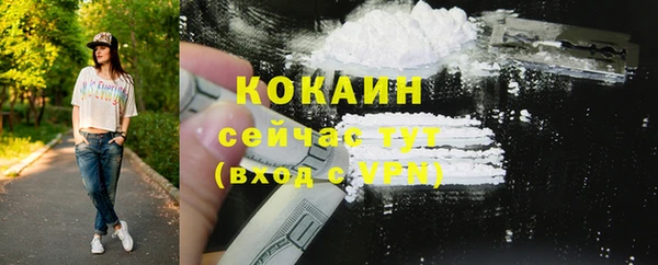 крисы Няндома