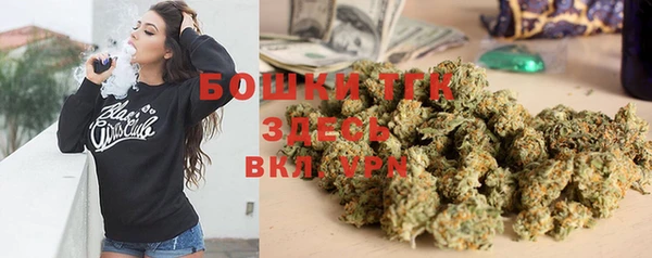 дмт Нягань