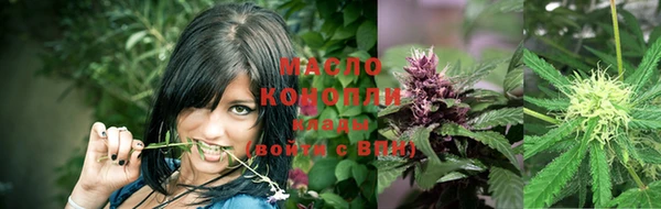 крисы Няндома