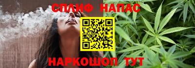 a pvp Камышлов