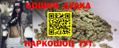 СК Кандалакша