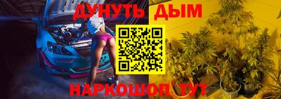 a pvp Камышлов