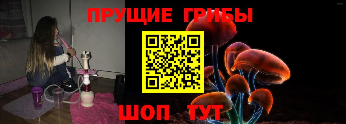 Новый Уренгой  Галлюциногенные грибы Psilocybe  Вход с VPN 